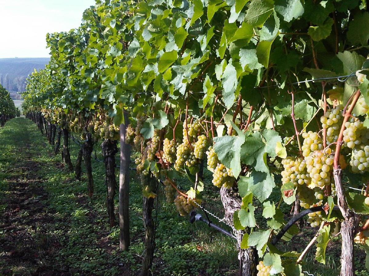 Bocksbeutelherberge Sommerach Exterior foto